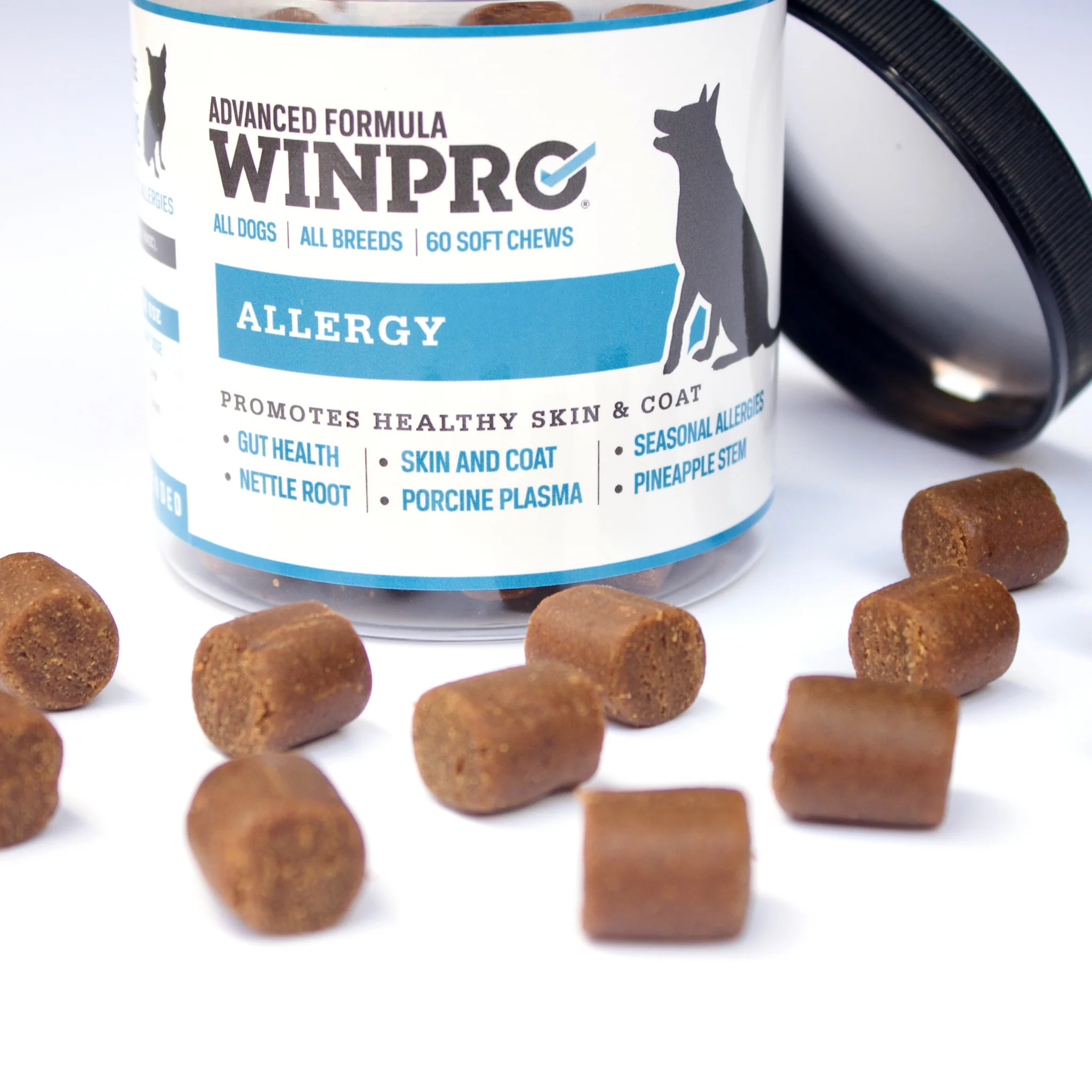 Allergy 6-Pack - Image 12