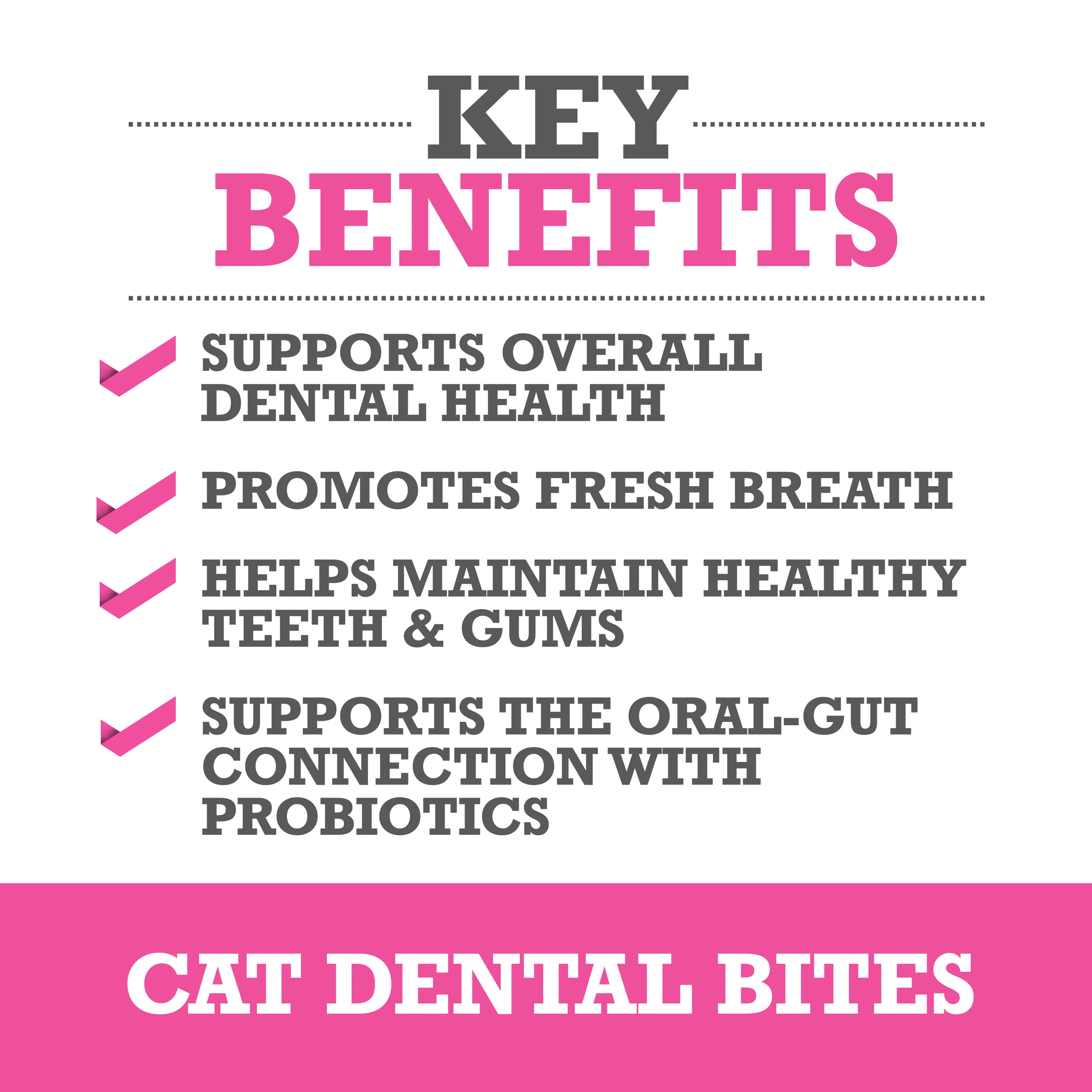Cat Dental Bites - Image 3
