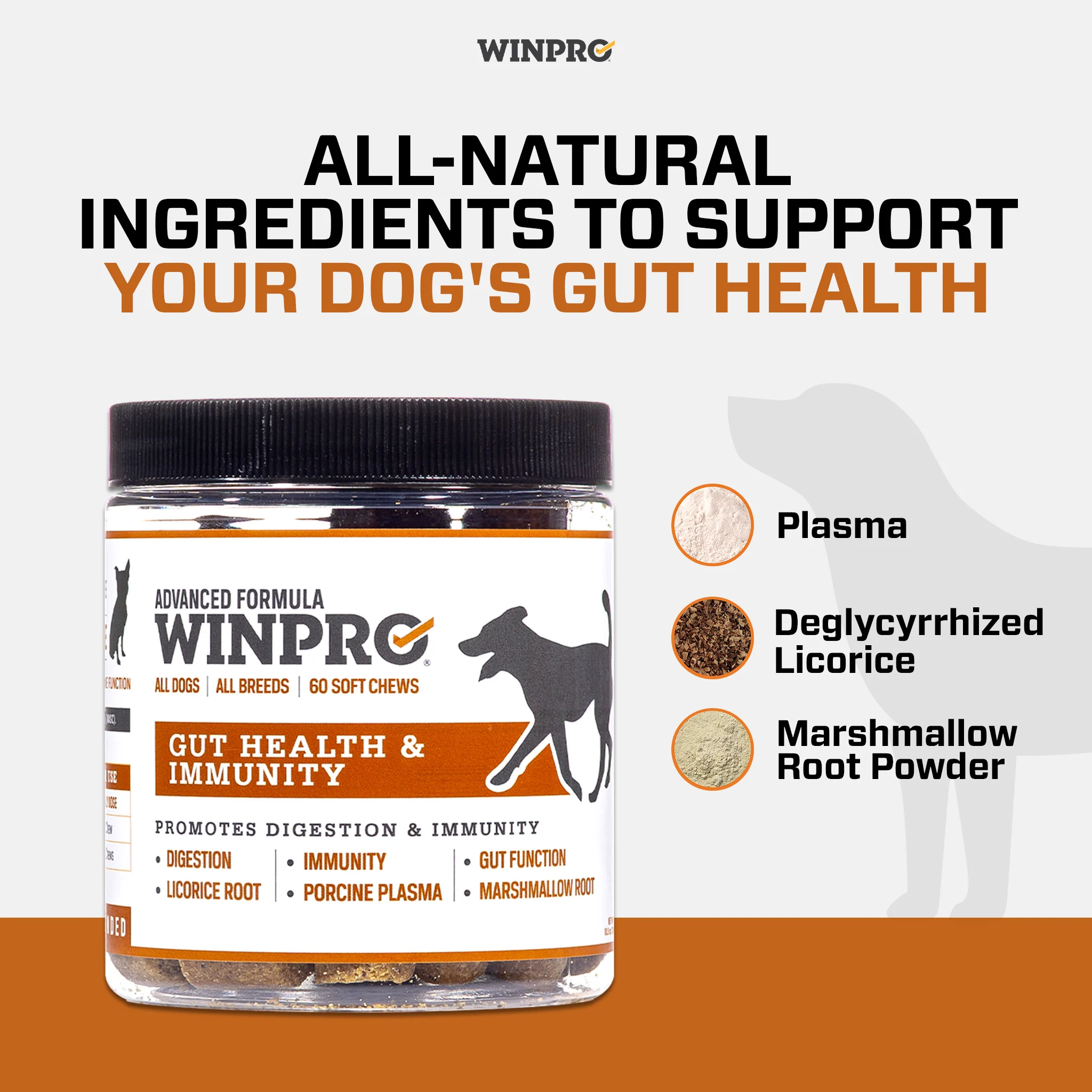 Gut Health 6-Pack - Image 4