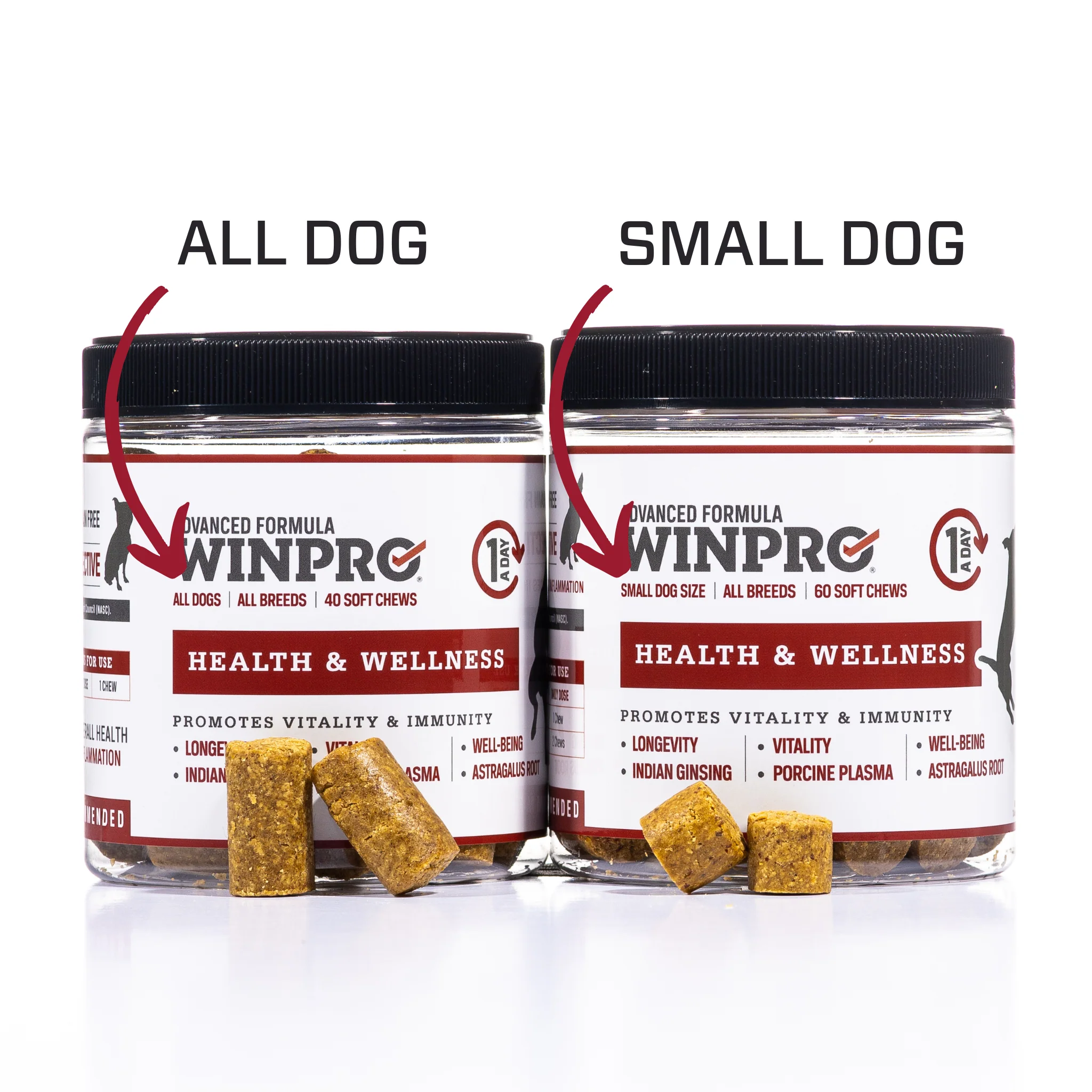 Daily Care 6-Pack - Image 4