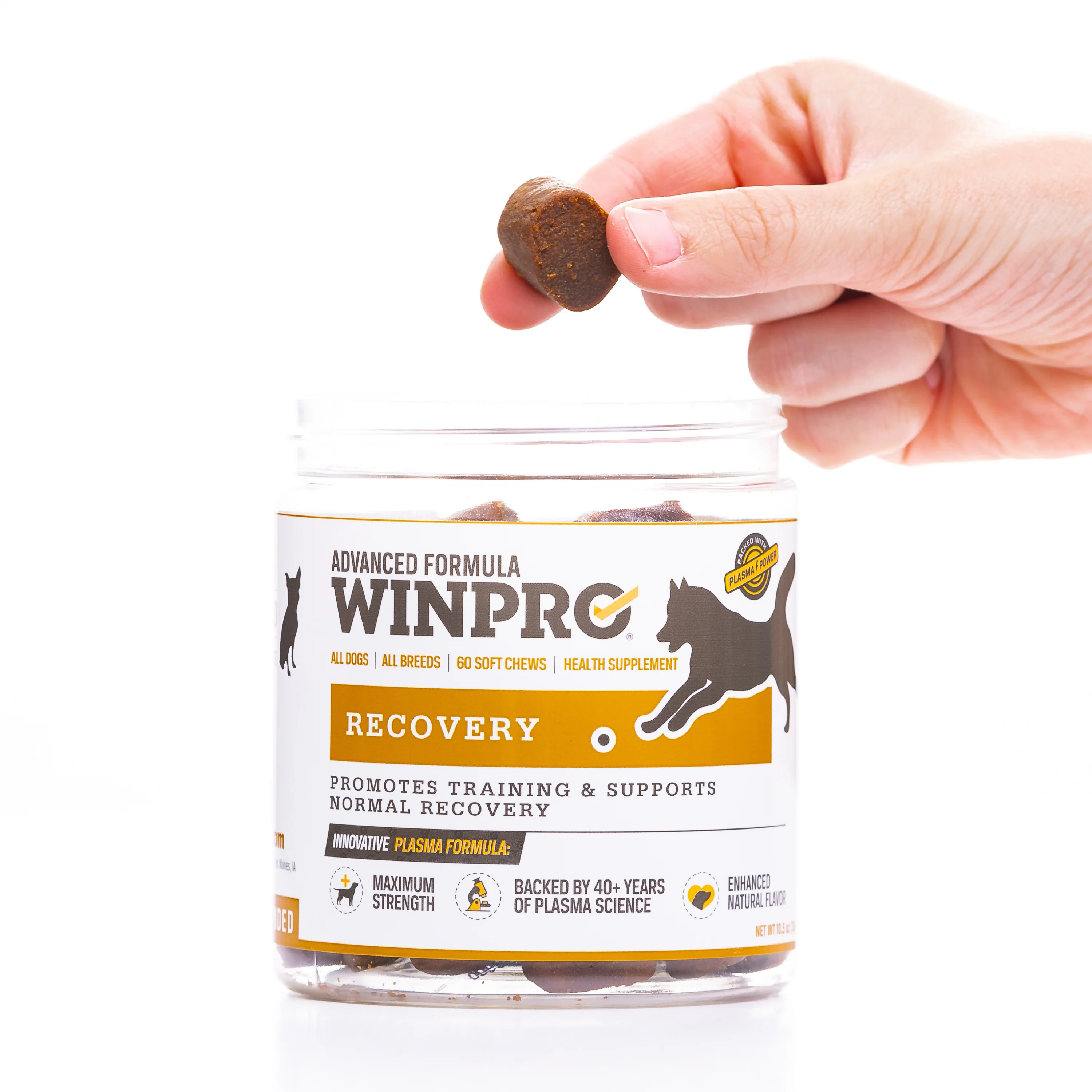 Recovery - Image 10