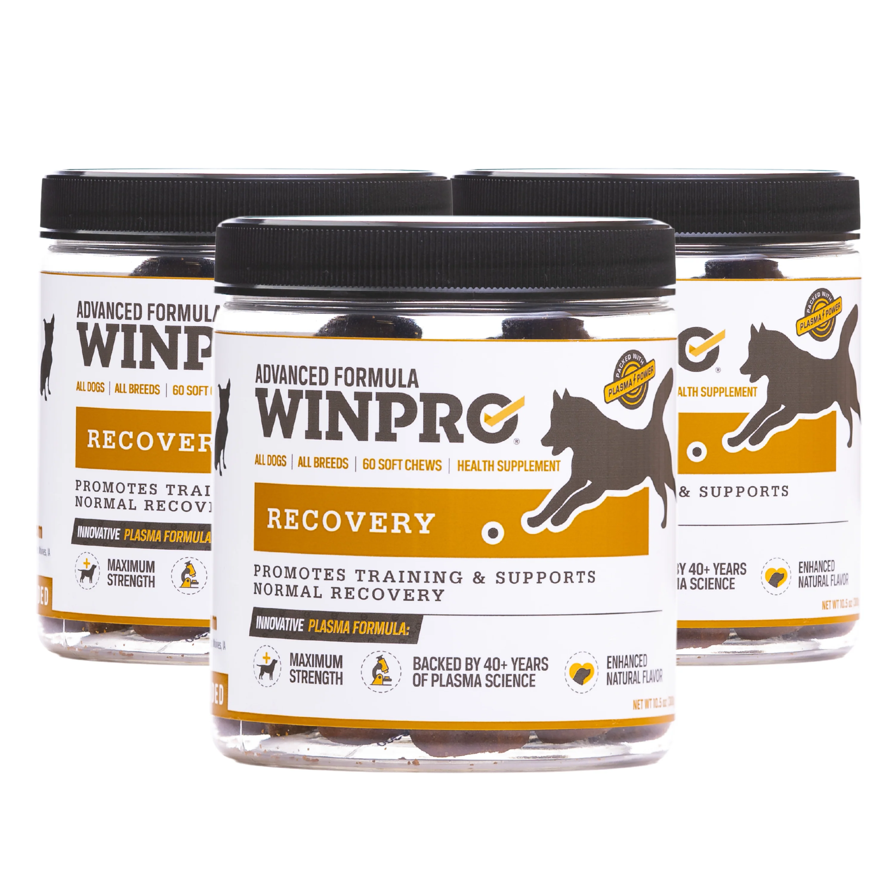 Recovery - Image 12