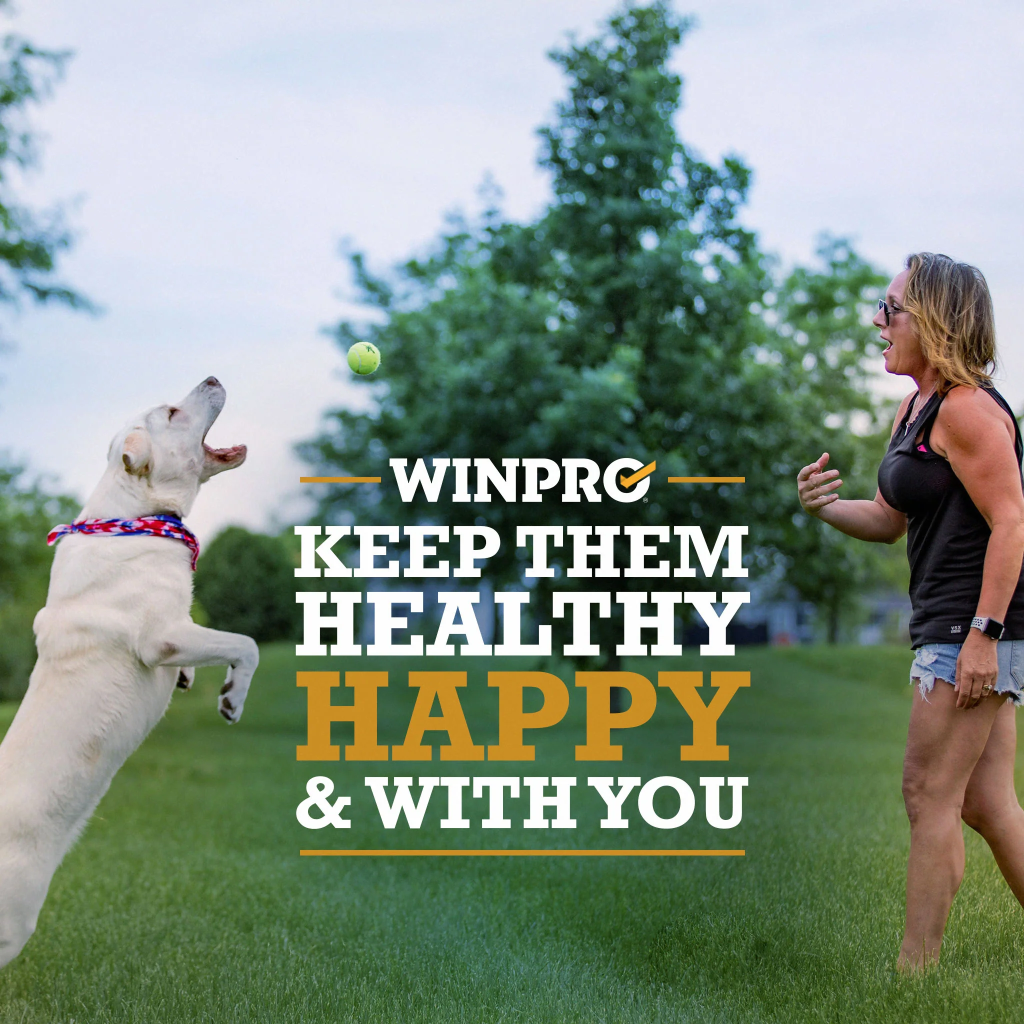 Recovery 6-Pack - Image 9