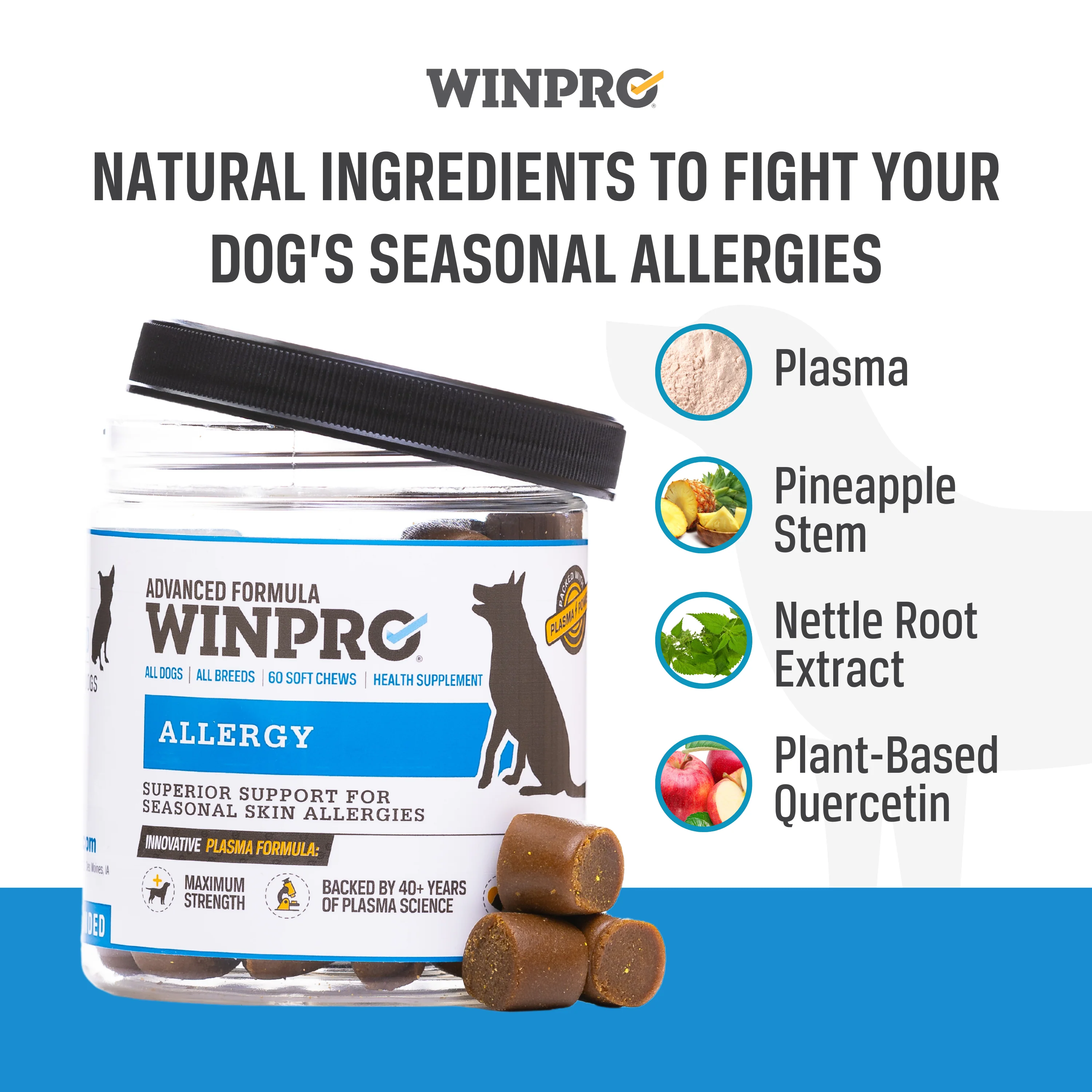 Allergy - Image 4